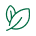 Leaves representing sustainability